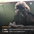 두메막국수 - 가평군 가화로 328 | 두메막국수
