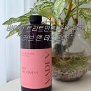 헤어러브미용실 | 미용실 헤어팩 바디브 미오 트리트먼트 러브 앤 데스트니 사용 후기 헤어트리트먼트 사용법