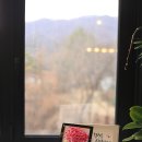 루케테(Lucete) 네이버블로그