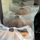 춘천소방서 소양119안전센터 이미지