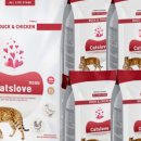 펫갤러리 이미지