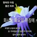 물광피부