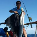 자유사진방이 안되어서... Sailfish and King Mackerel at Racha Yai, Phuket 이미지