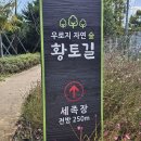 우로지 자연숲 황토길 이미지