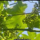 홍서농장 이미지