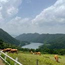 소담약국 | 춘천 여행 코스 29곳 추천 | 아이와 가볼만한 곳, 맛집, 카페, 숙소, 약국