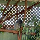 B&B헤어코디 | 호주 시드니 9월 날씨 후기 | 3박 4일 여행 코디 &amp; 일정 공유