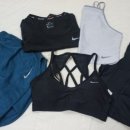 아쿠아 종합동물병원 이미지