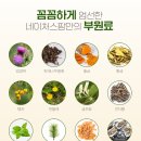 365별빛약국 네이버블로그