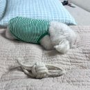 달그림자공원 | 꼭 끝까지 읽으셔야...&gt;///&lt;