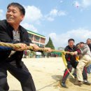 정교초등학교 이미지