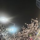 신림당약국 | [신림역] 분위기 좋은 가치혼술바 후기