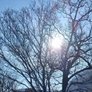 태백산 공원휴게소 이미지