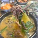 구수 염소농장 이미지