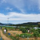 도담농장 이미지