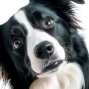 CW-1852-01 이미지