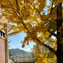 동계고등학교 이미지