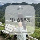 초록목장 | 춘천의 스위스 &#39;해피 초원 목장&#39; 직접 갔다 온 현실 후기