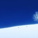 그린헬스 이미지