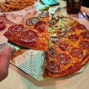 도우개러지 이미지