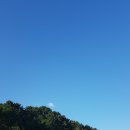 구조라항 공원 이미지