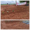 버들농장 이미지