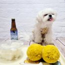 노리댕댕 | [펫노리] 댕댕 치맥세트