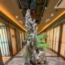 강강술래 신림본동점 이미지