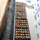 에브리홈마트 이미지