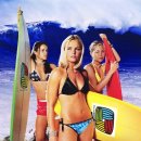 Surfing ma 이미지