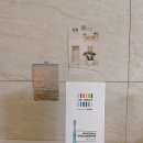 그린키즈어린이집 | 3세아기 더트웰브 3단계 유아어린이집 키즈칫솔 추천