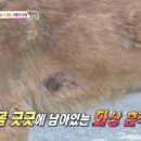 똘이농장 이미지