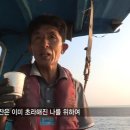 달빛오징어광어