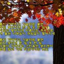 백석대학교 음악대학원 이미지