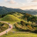 숨겨진 역사, 가야 | 아이와 함께 떠나는 1,500년 전 역사 여행! 가야고분군 방문 전 필수 체크리스트