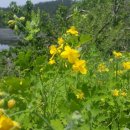 대창농원 이미지