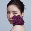 은은하게