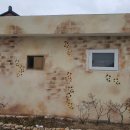 천등농장 이미지