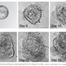 수정카크리닉 이미지