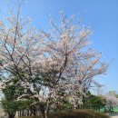 황새울1길 이미지