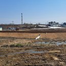 경충대로 4 이미지