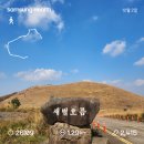에코그린스테이 | 제주여행 3] 에코그린리조트 조식~ 새별오름~제주 귤따기체험🍊
