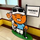 프랜즈 스크린(대가스크린) 이미지