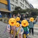 신-코리아태권도 이미지