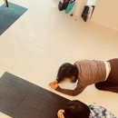 필라티 | ✨ 위례 필라테스 유목민 끝! 드디어 정착한 ‘위례 필라티스튜디오’ 리얼 후기 ✨