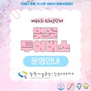 감성시티투어 | 창원여행) 창원 시티투어 후기🚌 + 진해군항제 벚꽃버스 총정리