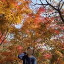 빈폴레이디스 - 성남시 분당구 황새울로360번길 42 | 빈폴레이디스 코튼 슬림 케이블 가디건 & 울 스커트 착용 후기 🍂
