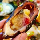 바다를 훔친 언니 이미지