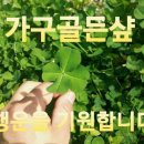 가구골든샾