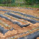 회선농장 이미지